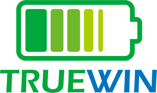nptruewin.com Logo